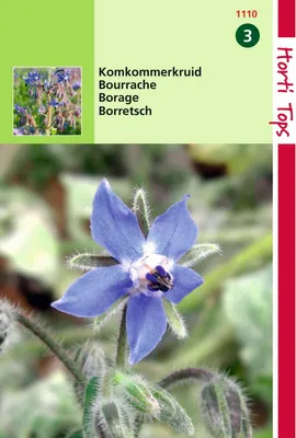 Produktbild von Borretsch | Borretschsamen von Hortitops