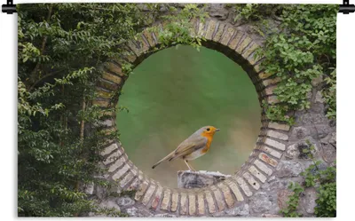 Produktbild von MuchoWow® Wandteppich Wandbehang Vogel - Durchblick - Rotkehlchen 150x100 cm Tapisserie Dekoration Wandtuch - Waschbar - Tapisserien - Wand-Decke