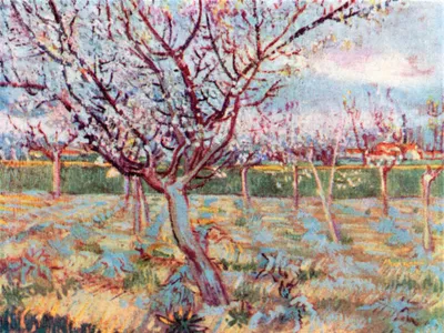 Produktbild von Vincent Van Gogh Kunstdruck Bild - Blühende Bäume, 1888 (60 x 80 cm)
