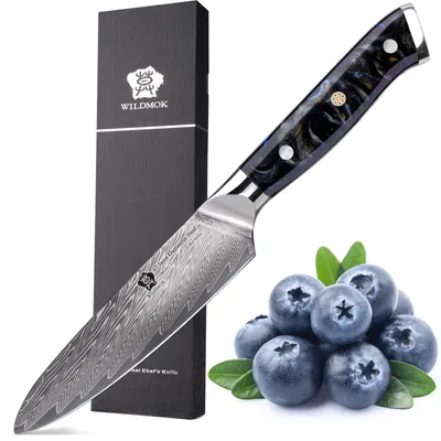 Küchenmesser 11,9 cm, VG-10 Damaststahl, ergonomischer Harzgriff