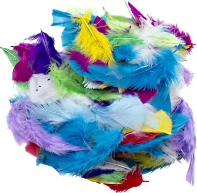 Produktbild von EDUPLAY 370149 Collage-Federn (20 g)