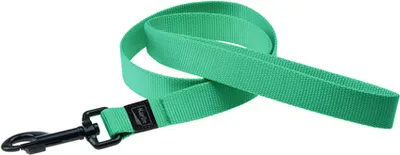 Produktbild von Karlie Art Sportiv Plus - Hundeleinen - S - Nylon - Minze - 100x1,5 cm