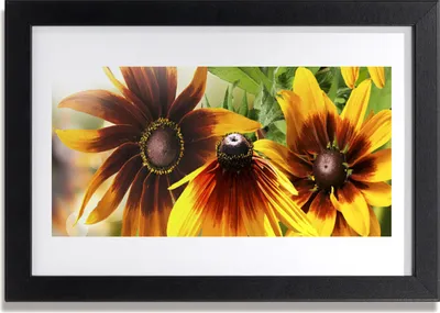Produktbild von Bild 30x20 MDF-Rahmen Wandkunst Blumen Pflanzen