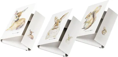 Produktbild von Pagna Sammelbox A4 Save me No.4 Gummizugverschluss sortiert