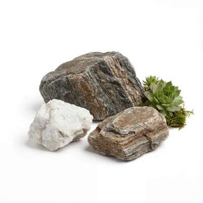 Produktbild von Woodstone 10-30 mm, Gneis, Grau, Muster, für Garten und Beet