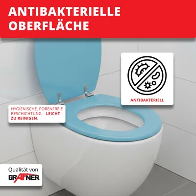 Produktbild von Grafner WC-Sitz mit Absenkautomatik in verschiedenen Designs : Blue Planks Farbe: Blue Planks
