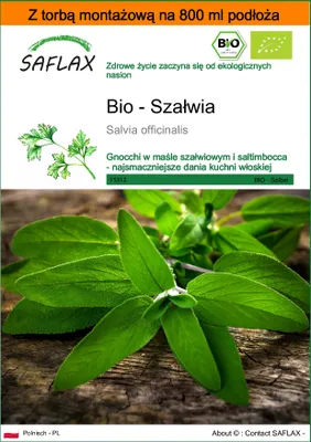 Zdjęcie produktu dla SAFLAX - Garden in the bag - Bio - Szałwia - 60 Nasiona - Z podłożem uprawowym w praktycznej, samorozkładającej się torbie - Salvia officinalis