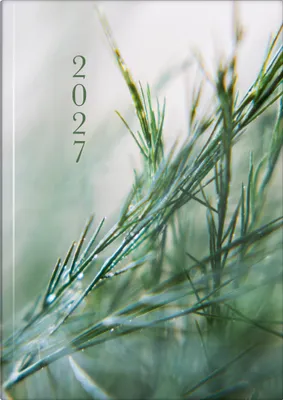 Produktbild von rido/idé 7021507017 Buchkalender Premium Young Line 2027 "Greeny" A5, Papier