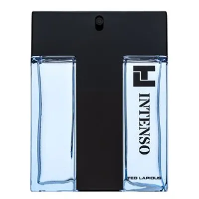 Obrázek produktu pro Ted Lapidus Intenso toaletní voda pro muže 100 ml