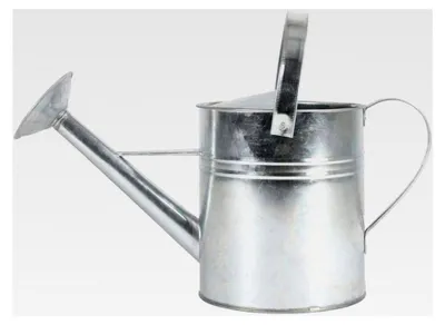 Produktbild von Zink-Gießkanne 5L mit Griff
