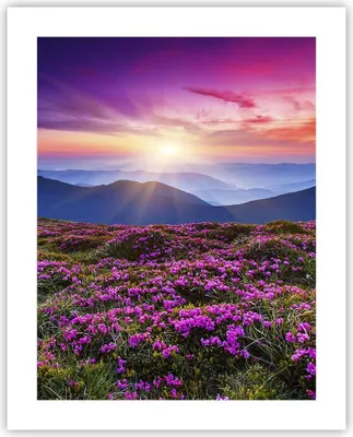 Produktbild von Poster - Poster ohne Rahmen - Wiese Berg Himmel Landschaft - 40x50 cm - Wand Bild - Wanddeko - Wandbilder - Kunstposter - Wandposter - Bilder - Kunstdruck - Wanddekoration - Wandbild - P2XPA40x50-2719