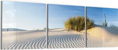 Produktbild von DEQORI Glasbild Echtglas 3x50x50 cm 'Sanddüne Ostseeküste' Wandbilder XXL groß