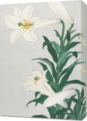 Produktbild von Bild 50x70cm Lilien, Japanischer Koson Vintage für das Wohnzimmer