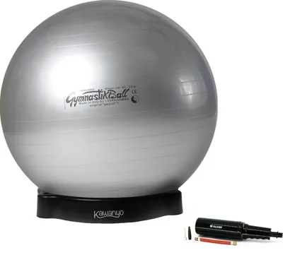 Produktbild von Original Pezzi® Gymnastikball STANDARD m.Ballschale u. Pumpe - silber