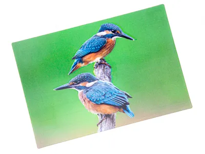Produktbild von 3 D Ansichtskarte Eisvögel, Eisvogel Postkarte Wackelkarte Hologrammkarte Tiere