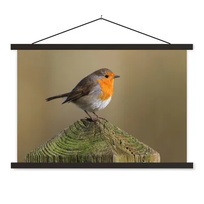 Produktbild von MuchoWow® Textilposter Vogel - Rotkehlchen - Holz 60x40 cm mit schwarzem Rahmen - Hölzernes