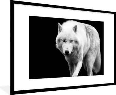 Produktbild von MuchoWow® Gerahmtes Poster Wolf - Tier - Schwarz - Weiß 90x60 cm - Poster mit Schwarzem Bilderrahmen Wandposter Rahmen Foto Bilder - Wanddekoration - Fotos
