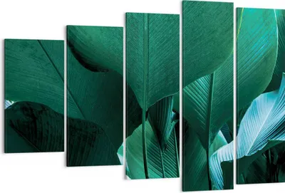 Produktbild von Bild auf Leinwand - Leinwandbild - 5 Teile - Blätter Palmen Banane - 150x100cm - Wand Bild - Wanddeko - Wandbilder - Leinwanddruck - Bilder - Wanddekoration - Leinwand bilder - EG150x100-4694
