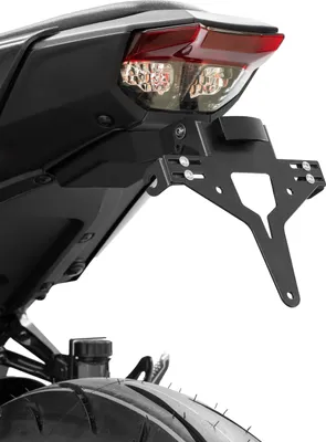 Image de ZIEGER Support de plaque d'immatriculation compatible avec Yamaha MT-09