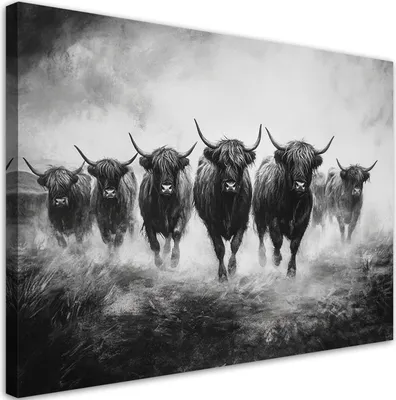 Produktbild von Leinwandbild Highland-Kühe Schwarz-Weiß 60x40 Feeby Grau bild für die wand bereit zum aufhängen