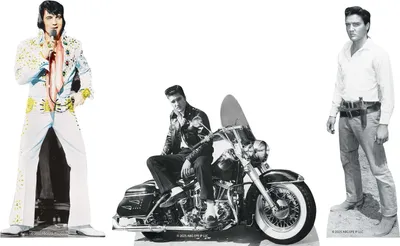 Produktbild von Elvis - 3er Set Tischdekoration