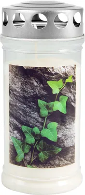 Produktbild von Jeka Gedenkkerze "Efeu auf Stein" 170 x 75 mm 4 Tage