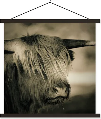 Produktbild von MuchoWow® Textilposter Schottisches Hochlandrind - Tiere - Haare 40x40 cm mit schwarzem Rahmen - Fotos