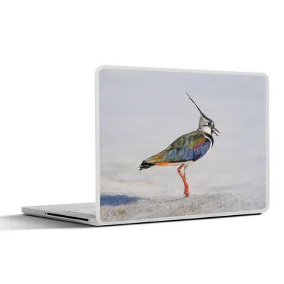 Produktbild von MuchoWow® Laptop Aufkleber Sticker Cover Vogel - Tiere - Sand - Kiebitz 30x22 cm - Laptop-Sticker
