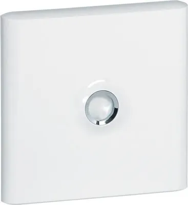 Image de Porte de coffret à équiper 2 rangées Drivia Legrand