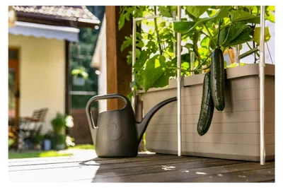 Produktbild von Gießkanne mit Brausekopf, 2L - Gießkanne aus hochwertigem Kunststoff - Praktische Gießkanne für Innen- und Außenbereich - Ideal zur Bewässerung von Zimmerpflanzen (Anthrazit)