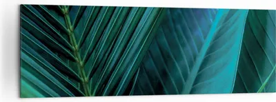 Produktbild von Bild auf Leinwand - Leinwandbild - Einteilig - Blatt Tropen Grün - 160x50cm - Wand Bild - Wanddeko - Wandbilder - Leinwanddruck - Bilder - Wanddekoration - Leinwand bilder - Wandbild - AB160x50-5071