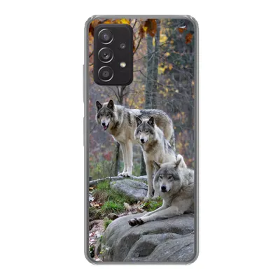 Produktbild von MuchoWow® Handyhülle Schutzhülle Hülle für Samsung galaxy a73 Wölfe - Fels - Wald Silikon Softcase Handy Hülle - Handyhülle