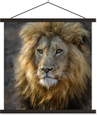 Produktbild von MuchoWow® Textilposter Löwe - Porträt - Wild 90x90 cm mit schwarzem Rahmen - Magnetisches