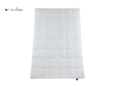 Produktbild von Häussling Traumulus Ganzjahresdecke Daunen KB 6x8 Karo, 135x200 cm, Deutsche Manufaktur, auch für Allergiker geeignet, Bezug 100% Baumwolle