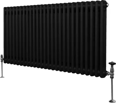 Zdjęcie produktu dla Tradycyjny grzejnik 2-kolumnowy - 600 x 1192 mm - Czarny