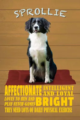 Produktbild von vianmo Holzschild 18x12 cm Sprollie Hund intelligent loyal Tier Haustier