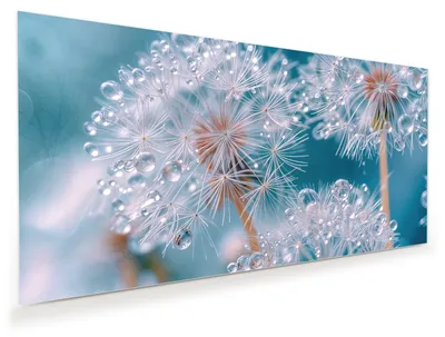 Produktbild von Glasbild 120x60cm in XXL für Wohnzimmer, Schlafzimmer Motiv Wassertropfen Pusteblume