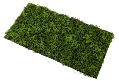 Produktbild von Moosmatten zur Dekoration, 50x100 cm Künstliche Moosmatte für Frühlingsdeko, Moosbilder, Floristik, Terrarium Dekoration