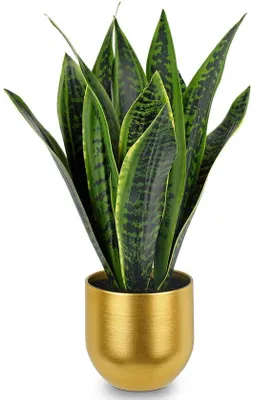 Obrázok produktu pre Ibenzoa® Umelá sansevieria – realistická izbová rastlina, výška 40,6 cm, 10 listov, zelená, v bielej keramickej váze s priemerom/výškou 12 cm, plast