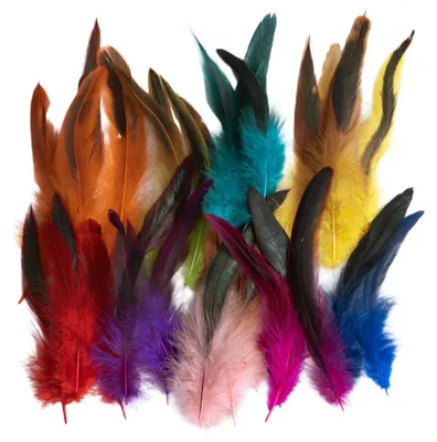 150 bunte Naturfedern 14-18 cm Bastelfedern für DIY