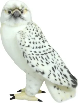 A stuffed toy owl on a white background.