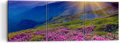 Produktbild von Bild auf Leinwand - Leinwandbild - Wiese Berge Landschaft - 120x40cm - Wand Bild - Wanddeko - Leinwanddruck - Bilder - Kunstdruck - Wanddekoration - Leinwand bilder - Wandkunst - CA120x40-2676