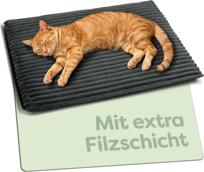 An orange cat sleeping on a gray pet mat with text overlay.