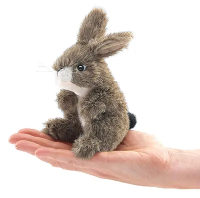 Produktbild von Folkmanis 2675 Fingerpuppe Feldhase