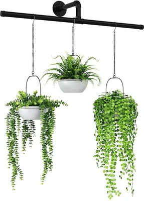 Image de Supports pour plantes en forme de T, de couleur noire, pour la décoration d'intérieur et d'extérieur