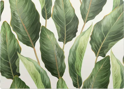 Produktbild von Tropische Blätter – Bodenschutzmatte – Stuhlunterlage 140x100 cm – Rutschfest – Hartbodenmatte