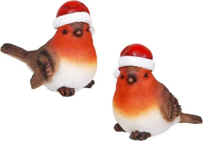 Produktbild von 2er Set Weihnachts Vögel 10cm