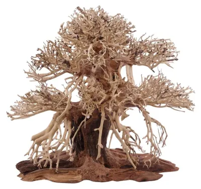 Produktbild von Premium Bonsai Baum L 30x15x30 cm Wurzel Holz Aquarium Deko Aquascaping