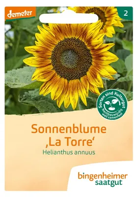 Produktbild von Bingenheimer Saatgut Sonnenblume La Torre 1 Stück