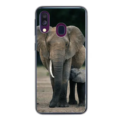 Produktbild von MuchoWow® Handyhülle Schutzhülle Hülle für Samsung Galaxy A40 Elefant - Tiere - Flachland - Natur Silikon Softcase Handy Hülle - Handy-Tasche